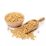 Organic Soybean Seeds
